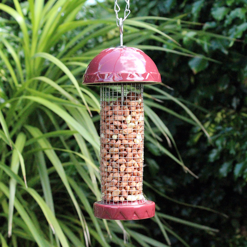 Glazed Ceramic Bird Nut Feeder Bonningtons