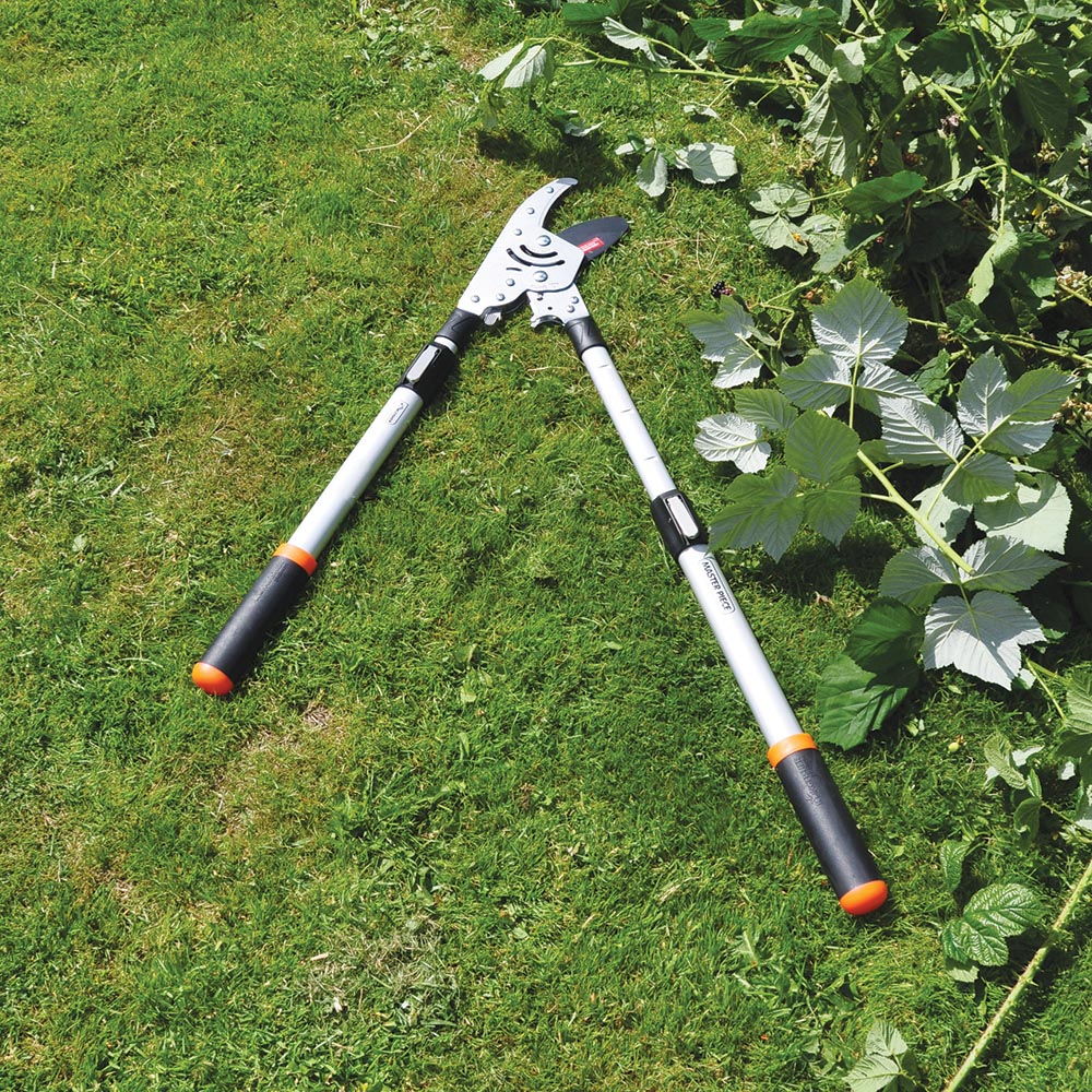 Garden Pro Master Telescopic Ratchet Action Lopper Bonningtons