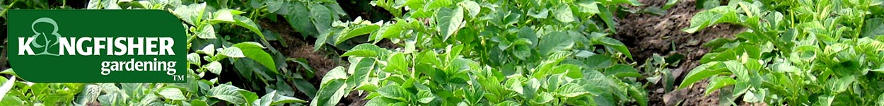 Value Garden Range