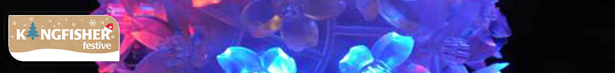 Indoor LED Decorative Lighting