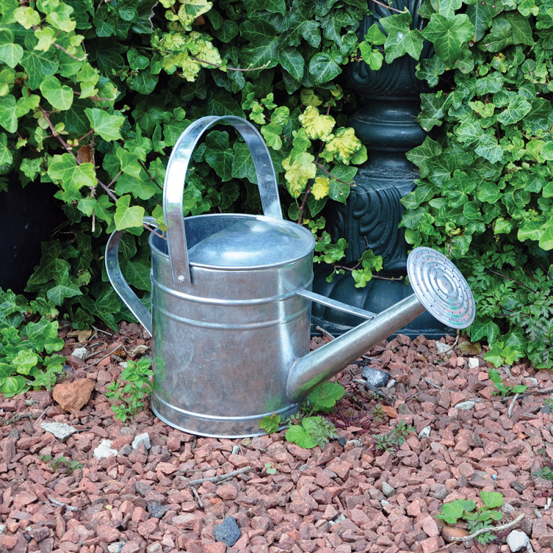 5L Galvanised Watering Can Bonningtons