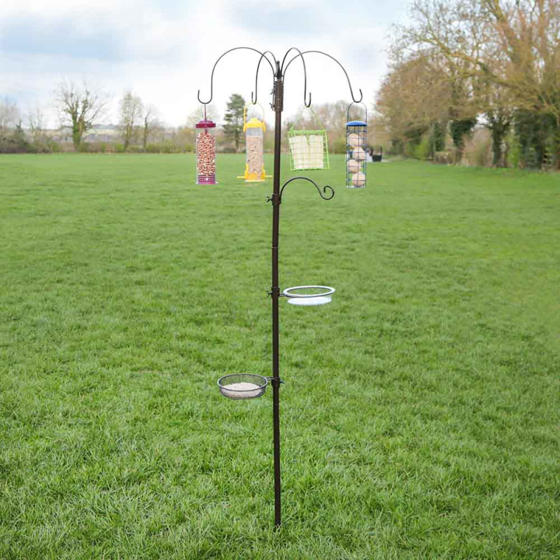 Deluxe Bird Feeding Station | Bonningtons