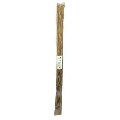 Pack of 10 220cm bamboo canes