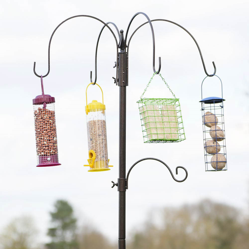 Deluxe Bird Feeding Station | Bonningtons