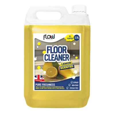 2.5L Floor and Surface Cleaner