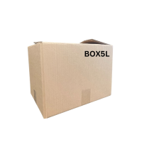 1 x 5L Box - 180x130x283 