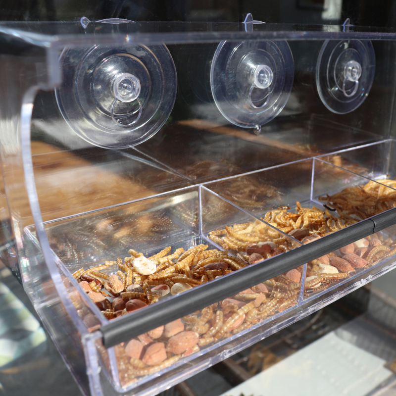 Large Window Bird Feeder Bonningtons