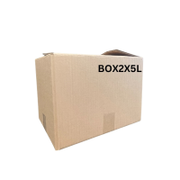 2 X 5L Box - 272x180x283  