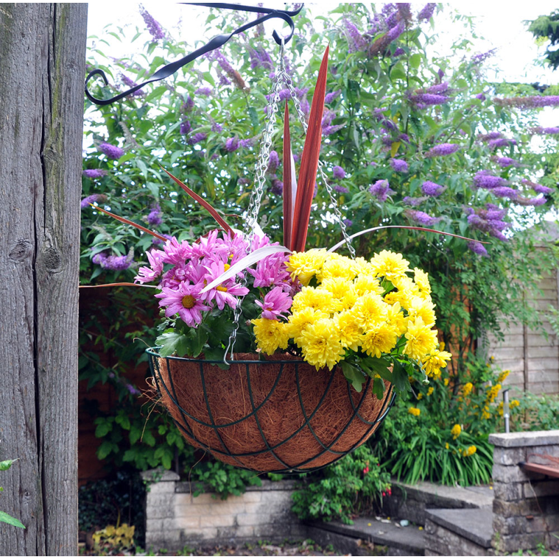 14 Inch Hanging Basket Bonningtons