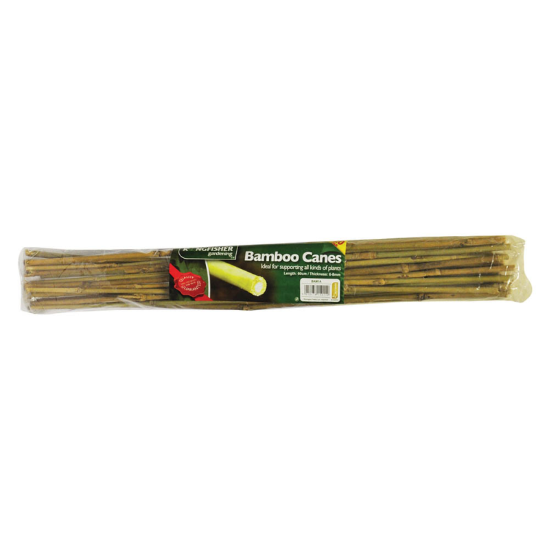 60Cm Bamboo Canes 20 Pack Bonningtons