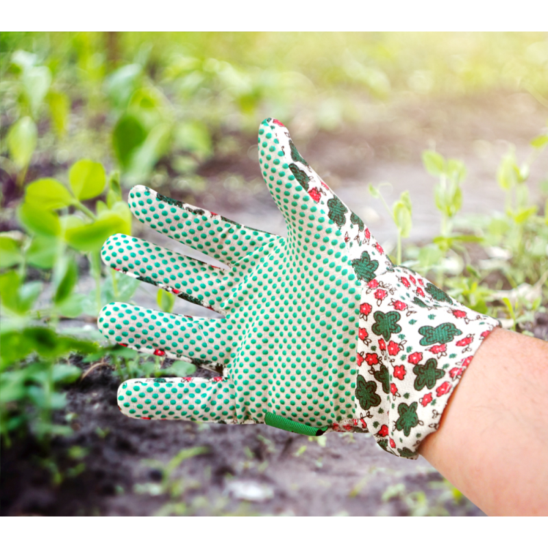 Ladies' Lightweight Polka Dot And Floral Gloves | Bonningtons