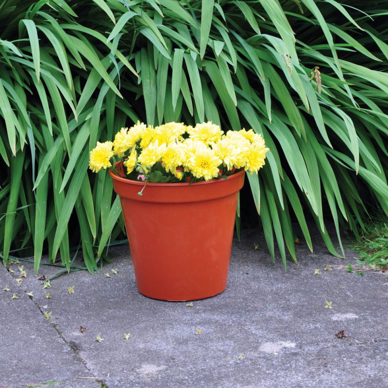 21Cm 8In Plant  Pot  Bonningtons