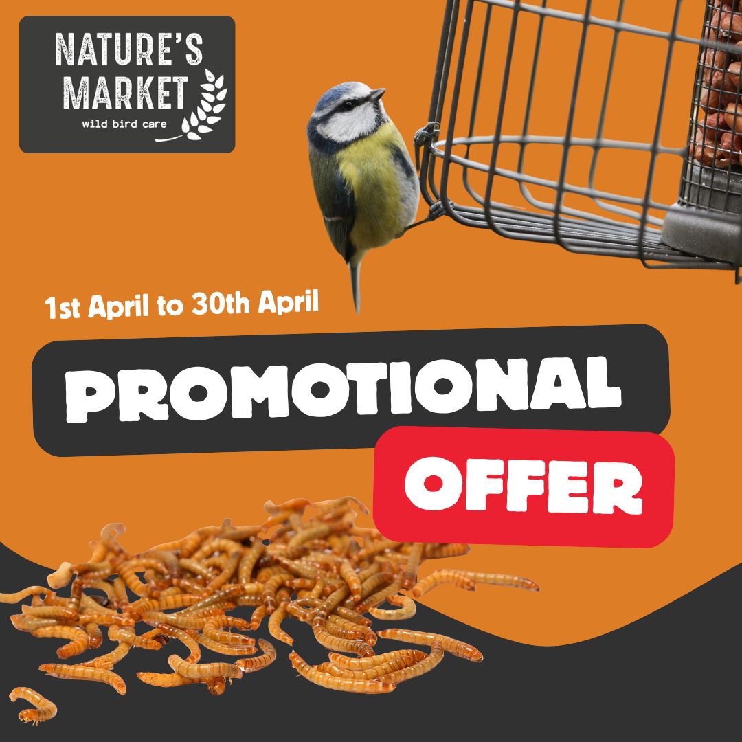 Grow Your Bird Care Range This Season Grow Your Bird Care Range This Season