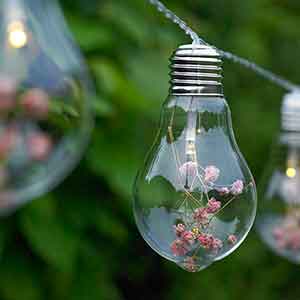 blossom bulb string light