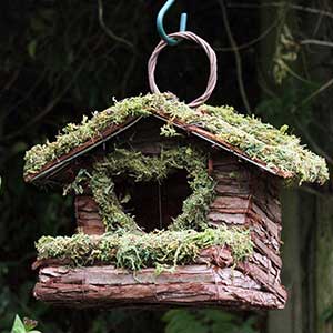 Rustic Bush Wood Bird House